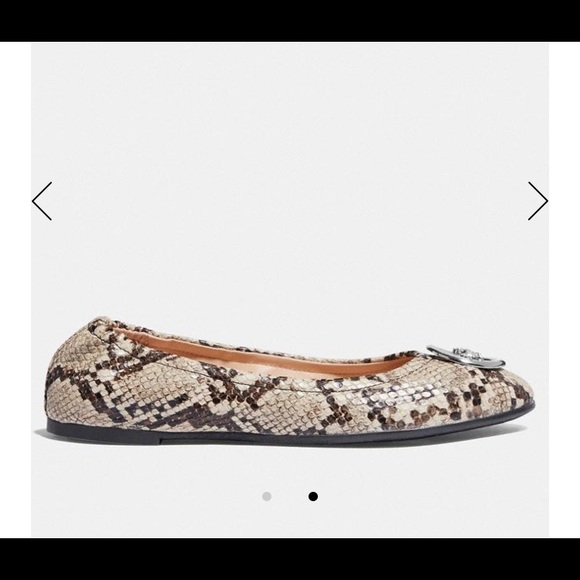 Coach Bailey Ballet Flats - Picture 2 of 13